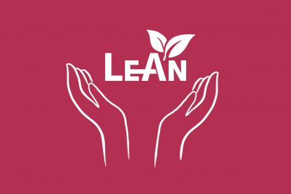 Konzepte – Möglichkeiten der Eingabe in LeAn®