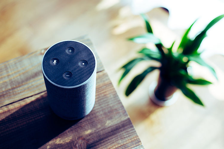 Amazon Echo - Voice Commerce
